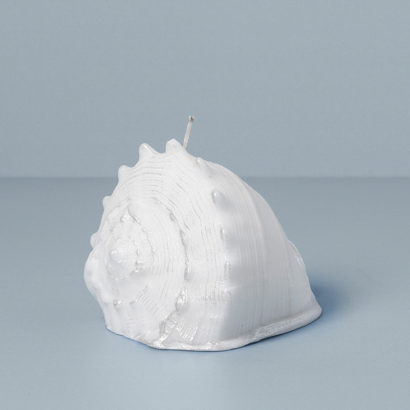 Sea Shell Candle, White – In Flore