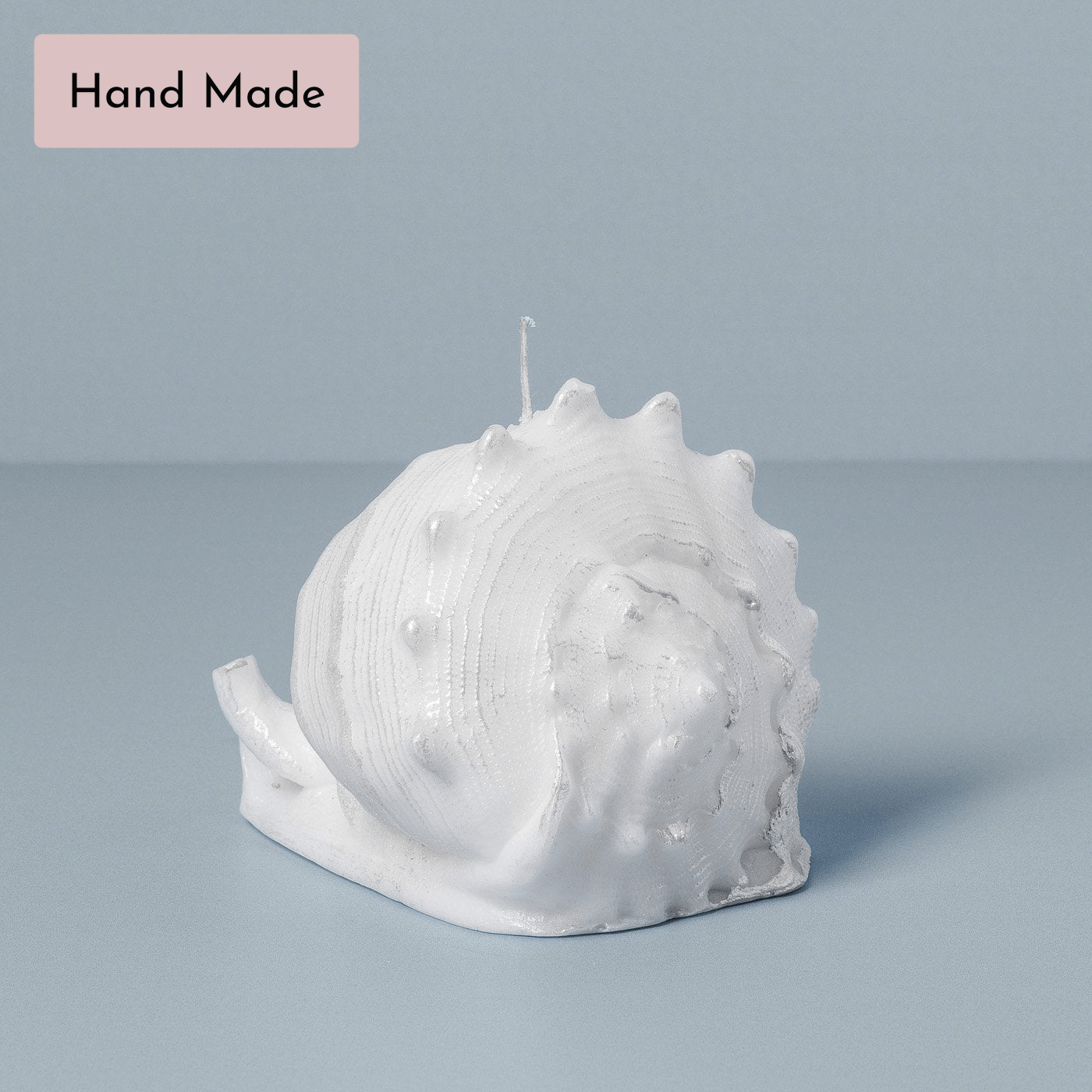 Sea Shell Candle, White – In Flore